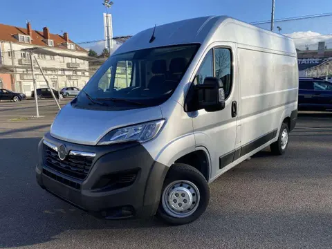 Used OPEL MOVANO Diesel 2023 Ad 