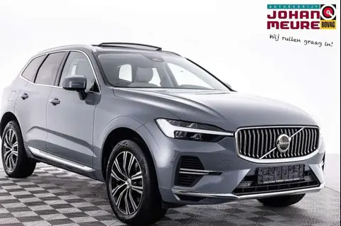 Used VOLVO XC60 Hybrid 2021 Ad 