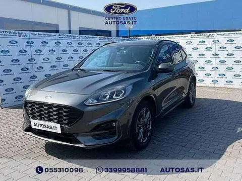 Used FORD KUGA Hybrid 2021 Ad 