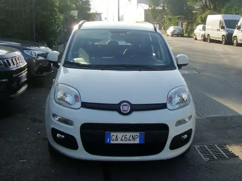 Used FIAT PANDA Petrol 2020 Ad 