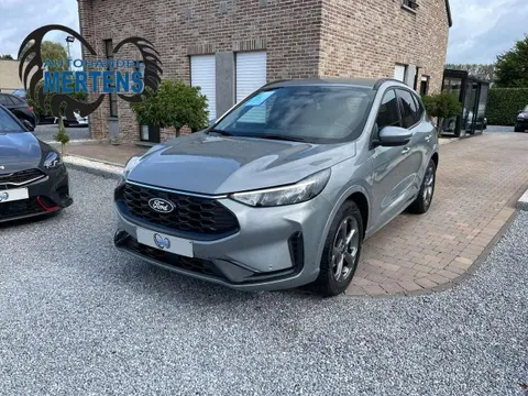 Annonce FORD KUGA Essence 2024 d'occasion 