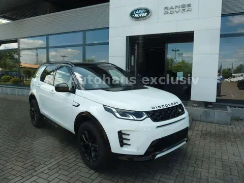 Used LAND ROVER DISCOVERY Hybrid 2024 Ad 