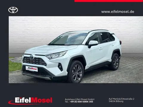 Annonce TOYOTA RAV4 Hybride 2024 d'occasion Allemagne