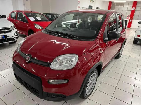 Used FIAT PANDA Hybrid 2024 Ad 