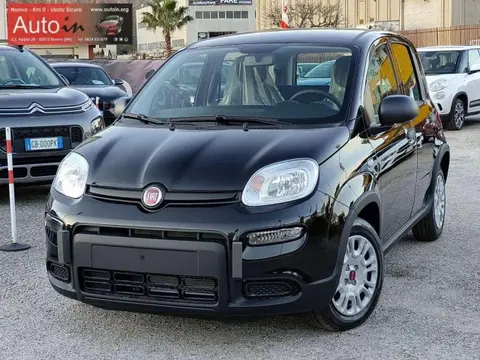 Annonce FIAT PANDA Hybride 2024 d'occasion 