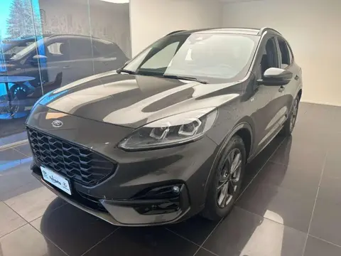 Annonce FORD KUGA Diesel 2021 d'occasion 