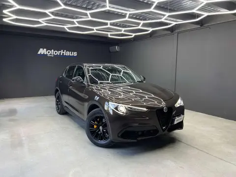 Used ALFA ROMEO STELVIO Diesel 2019 Ad 