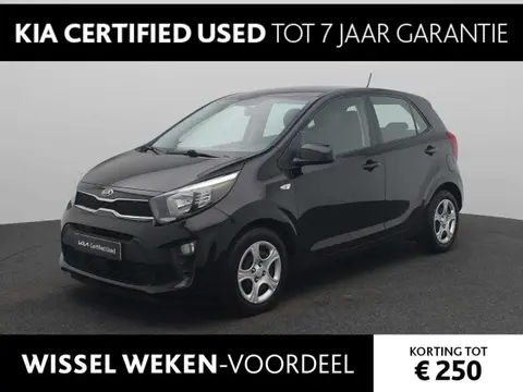 Used KIA PICANTO Petrol 2024 Ad 