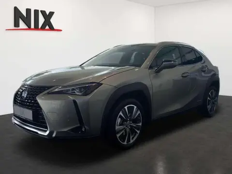 Annonce LEXUS UX Hybride 2022 d'occasion 