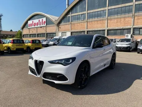 Annonce ALFA ROMEO STELVIO Diesel 2024 d'occasion 