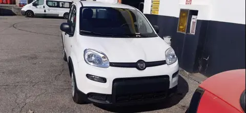 Used FIAT PANDA Petrol 2024 Ad 