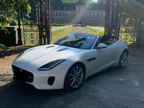 Used JAGUAR F-TYPE Petrol 2018 Ad 