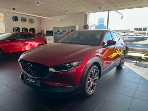 Annonce MAZDA CX-30 Essence 2024 d'occasion 