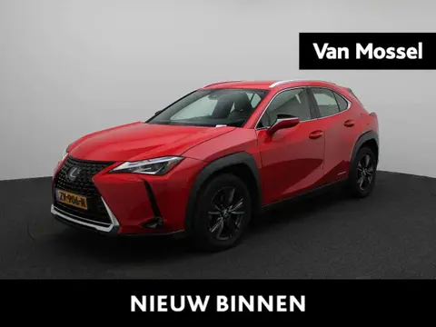 Used LEXUS UX Hybrid 2019 Ad 