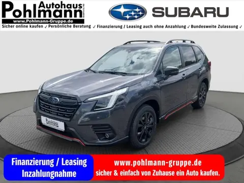 Used SUBARU FORESTER Petrol 2024 Ad 