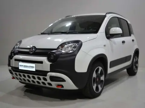 Used FIAT PANDA Hybrid 2024 Ad 