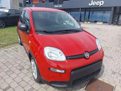 Used FIAT PANDA Hybrid 2024 Ad 