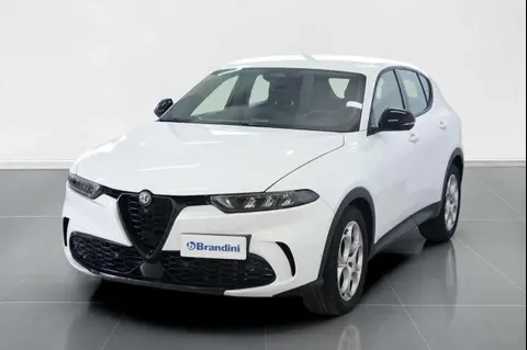 Used ALFA ROMEO TONALE Diesel 2023 Ad 