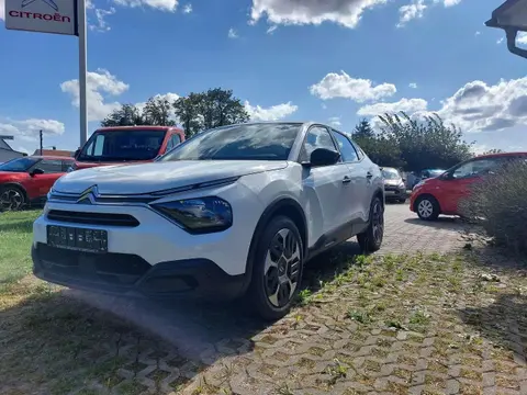 Used CITROEN C4 Petrol 2023 Ad 