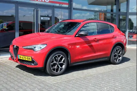 Used ALFA ROMEO STELVIO Diesel 2019 Ad 