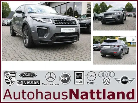 Used LAND ROVER RANGE ROVER EVOQUE Diesel 2019 Ad 