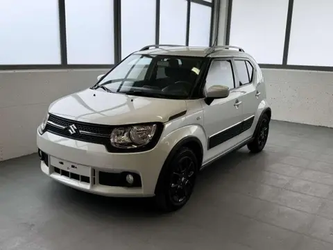 Used SUZUKI IGNIS Petrol 2017 Ad 