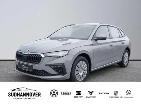 Annonce SKODA SCALA Essence 2024 d'occasion 