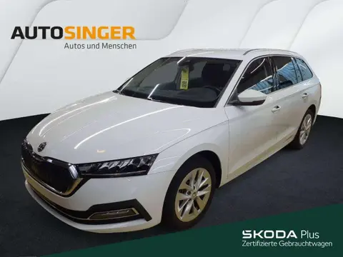 Annonce SKODA OCTAVIA Essence 2024 d'occasion 