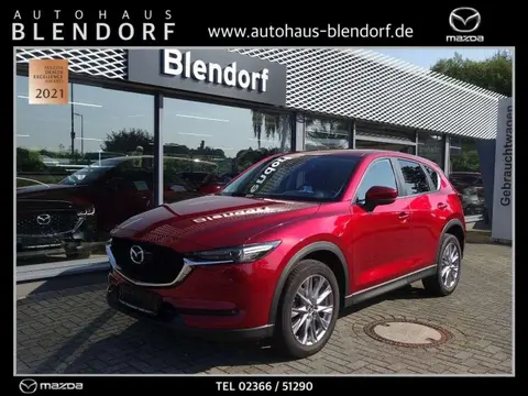 Used MAZDA CX-5 Petrol 2020 Ad 