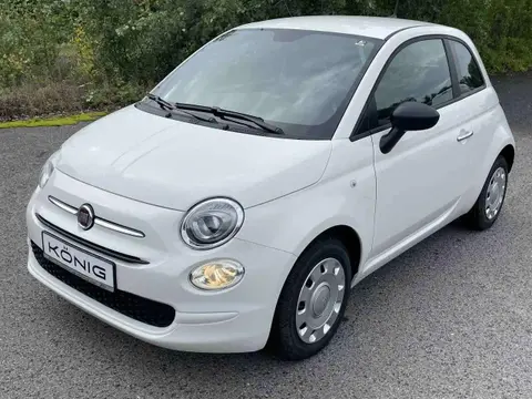 Used FIAT 500 Petrol 2023 Ad 