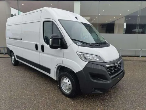 Annonce OPEL MOVANO Diesel 2024 d'occasion 