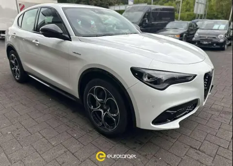 Used ALFA ROMEO STELVIO Petrol 2023 Ad 