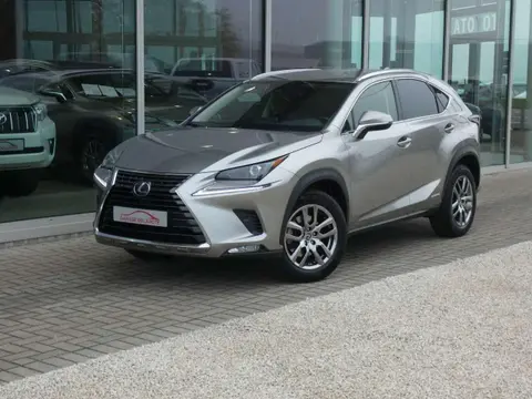 Used LEXUS NX Hybrid 2021 Ad 