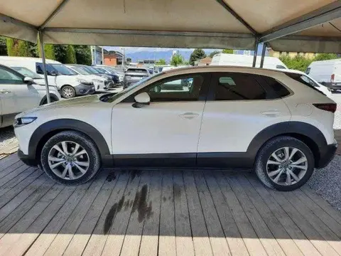 Annonce MAZDA CX-30 Hybride 2022 d'occasion 