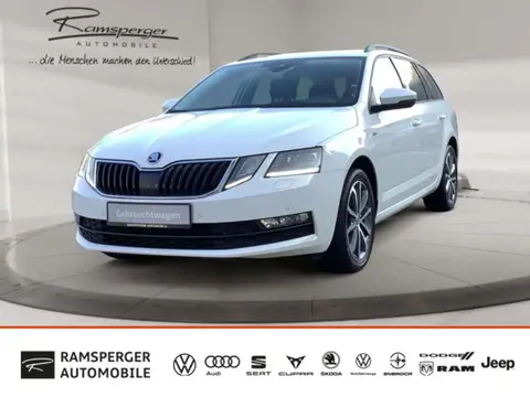 Annonce SKODA OCTAVIA Diesel 2019 d'occasion 