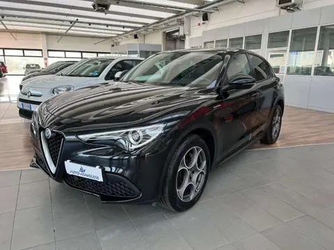 Used ALFA ROMEO STELVIO Diesel 2021 Ad Italy