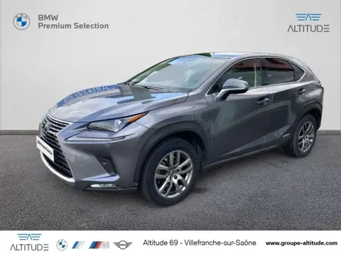 Annonce LEXUS NX  2021 d'occasion 