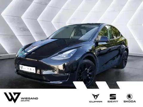 Used TESLA MODEL Y Electric 2023 Ad 