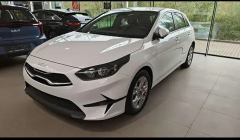 Used KIA CEED Petrol 2023 Ad 