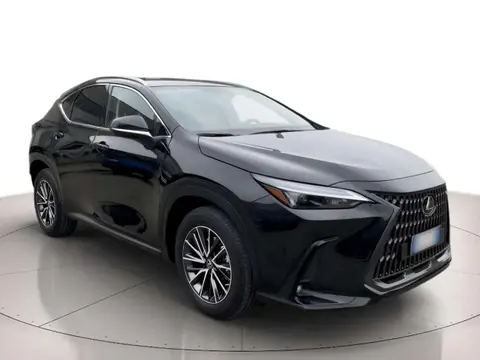 Annonce LEXUS NX Hybride 2023 d'occasion 