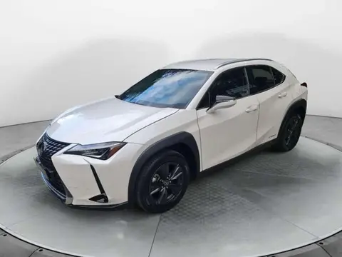 Used LEXUS UX Hybrid 2020 Ad 