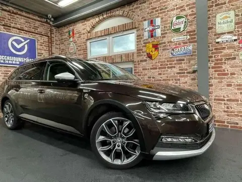 Annonce SKODA SUPERB Diesel 2020 d'occasion 