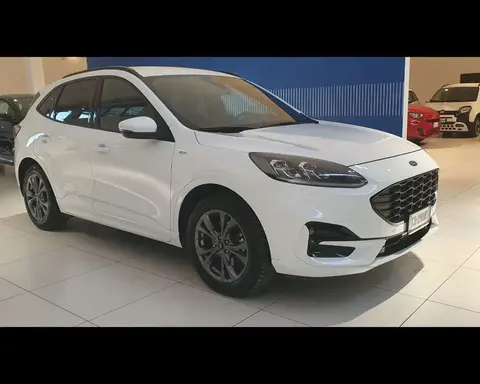 Annonce FORD KUGA Essence 2021 d'occasion 