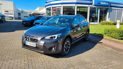 Used SUBARU XV Petrol 2023 Ad 