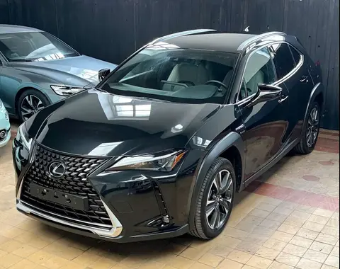 Used LEXUS UX Petrol 2023 Ad Belgium