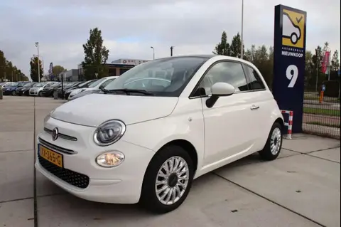 Used FIAT 500 Petrol 2019 Ad 