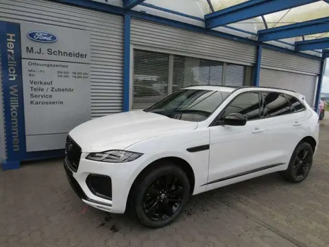 Used JAGUAR F-PACE Diesel 2023 Ad 