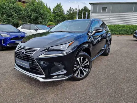 Annonce LEXUS NX Hybride 2021 d'occasion 