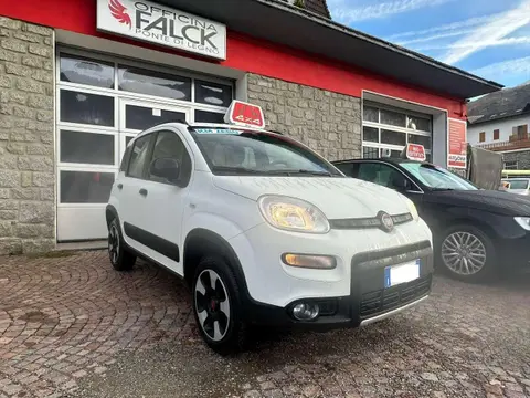 Annonce FIAT PANDA Essence 2022 d'occasion 