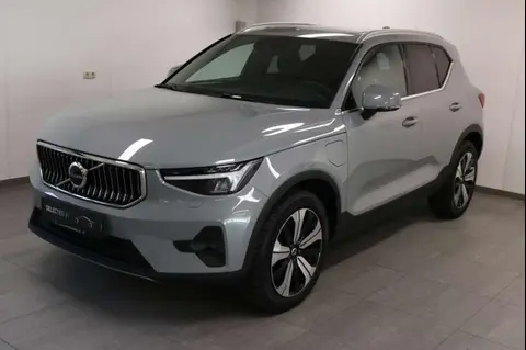 Used VOLVO XC40 Hybrid 2023 Ad 